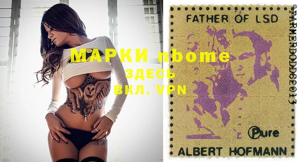 гашик Алексин