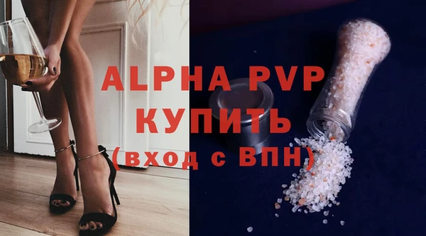 гашик Алексин
