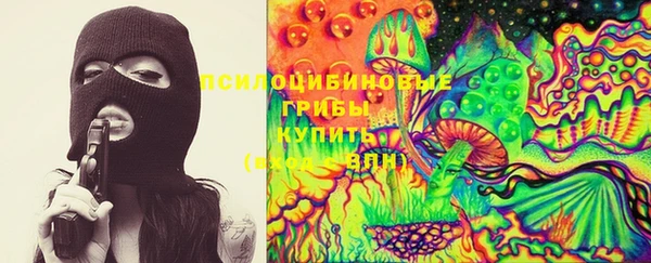 гашик Алексин