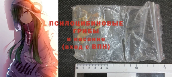 гашик Алексин