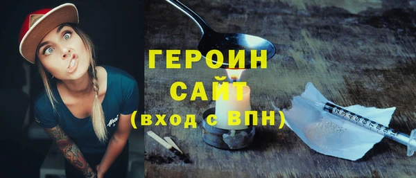гашик Алексин